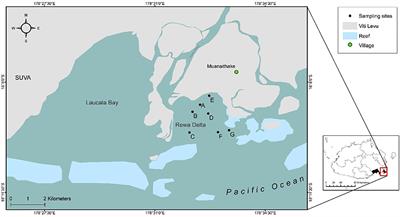 First Reconstruction of Kinship in a Scalloped Hammerhead Shark Aggregation Reveals the Mating Patterns and Breeding Sex Ratio